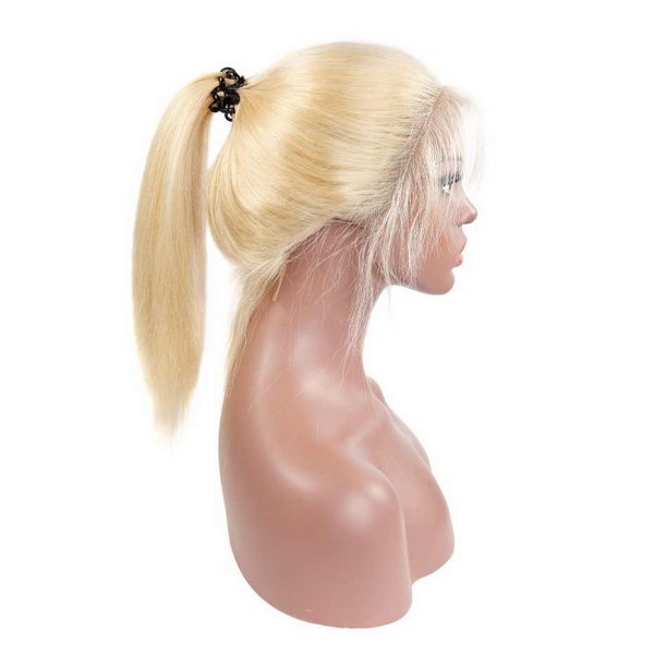 613 Color STRAIGHT HAIR FULL LACE WIG - Image 2