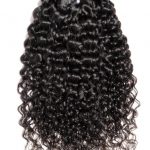 Burmese Curly +$12.00