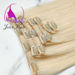 Clip In Hair Extensions Remy Hair (Light Solid Color)