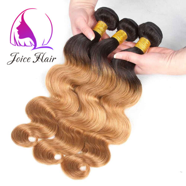 OMBRE COLOR HAIR 1B/27 STRAIGHT HAIR BUNDLES (3 Bundles Kit) - Image 2
