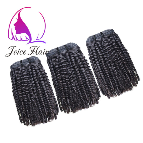 Afro Kinky Curly Texture Hair Bundle