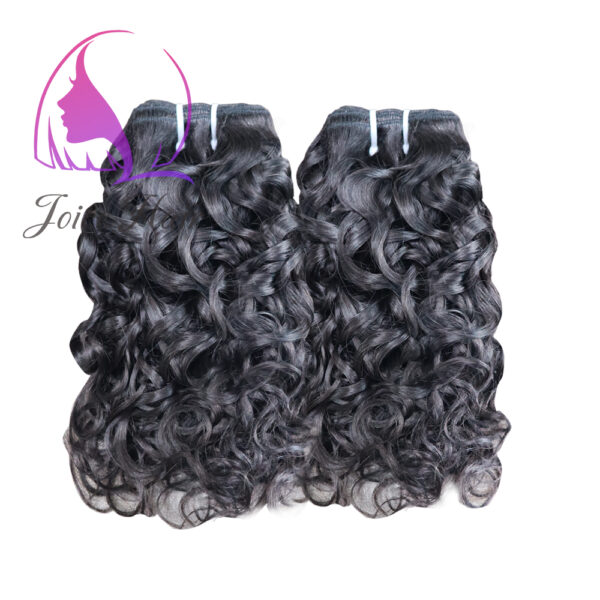 Bouncy Wave Raw Hair Virgin Hair Bundle Natural Color