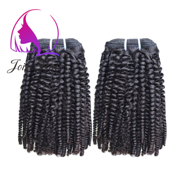Afro Kinky Curly Hair Texture Raw Hair Virgin Hair