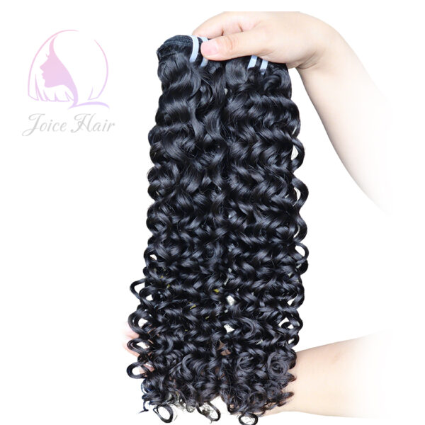 Bouncy Curly Raw Hair Virgin Hair Bundle Natural Color